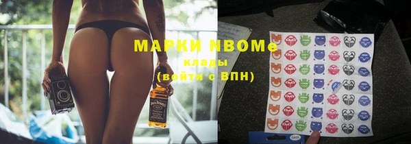 стаф Арсеньев