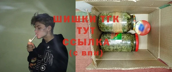 стаф Арсеньев