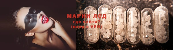 стаф Арсеньев