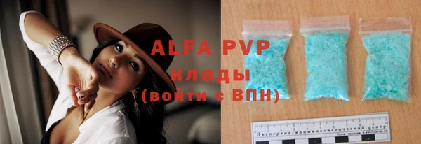 стаф Арсеньев