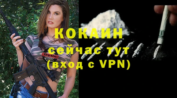 стаф Арсеньев