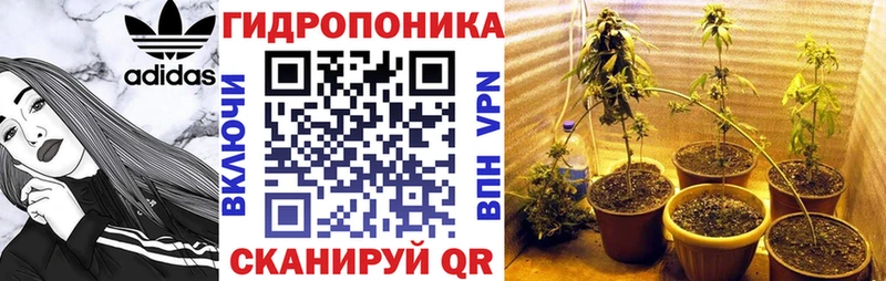 Каннабис MAZAR  Купить  Дудинка 